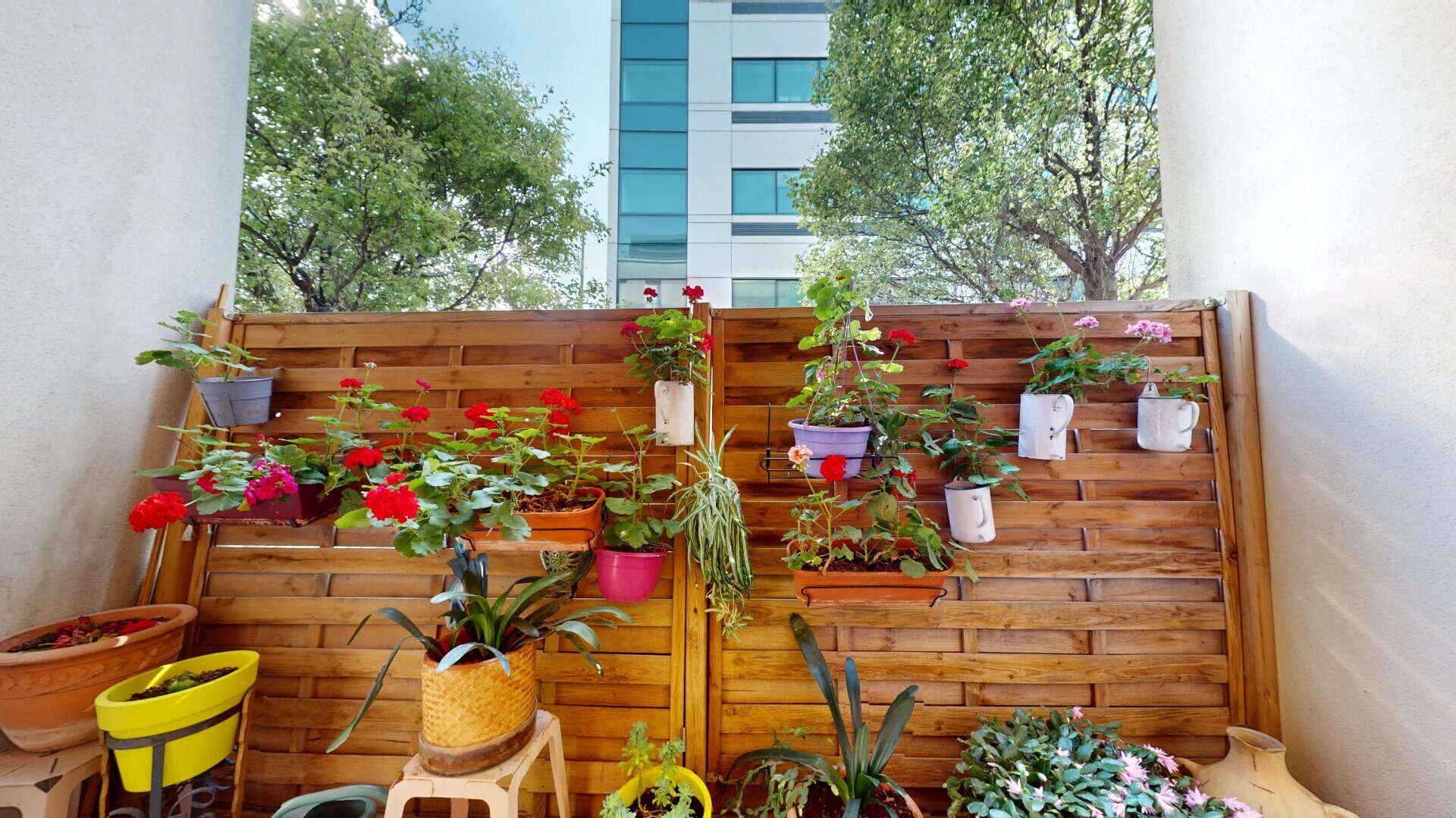 Property view 4